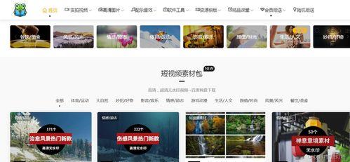 爆料视频素材库在哪里找,爆料视频素材库的神秘藏身之地